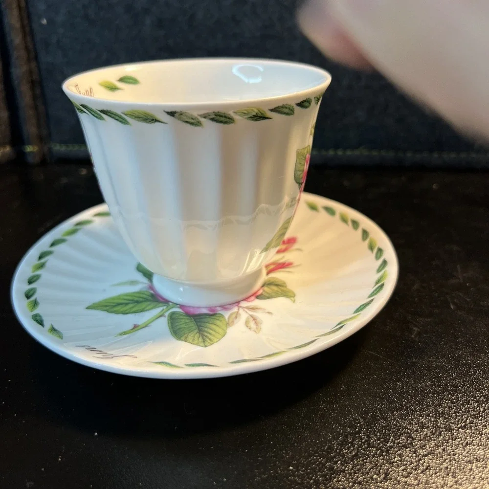 Dynasty Royal Patrician Fine Bone China England JUNE Pink Roses Tea Cup & Saucer